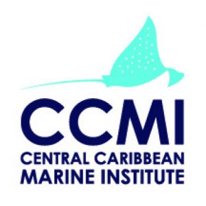 Coral Reef Internship